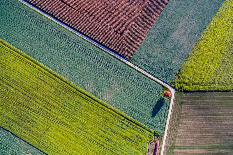 Parcelas agrícolas de distintos colores vistas desde el aire